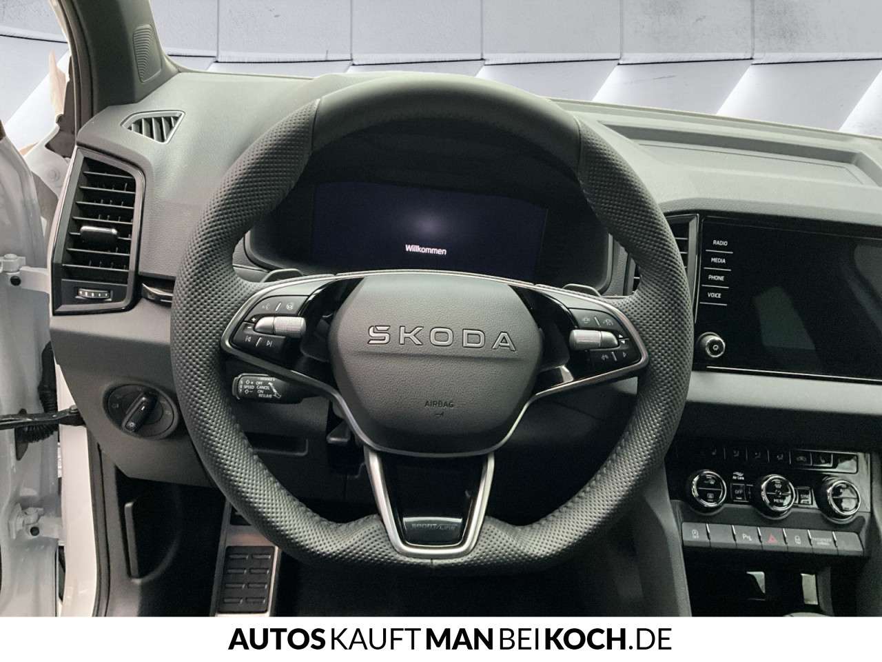 Fahrzeugbild eines Skoda Karoq