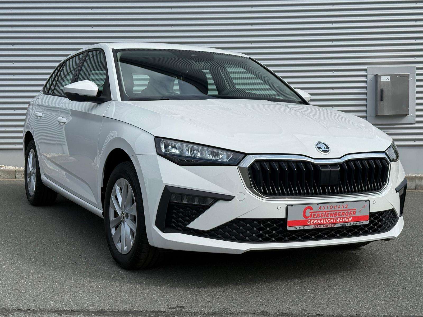 Fahrzeugbild eines Skoda Scala