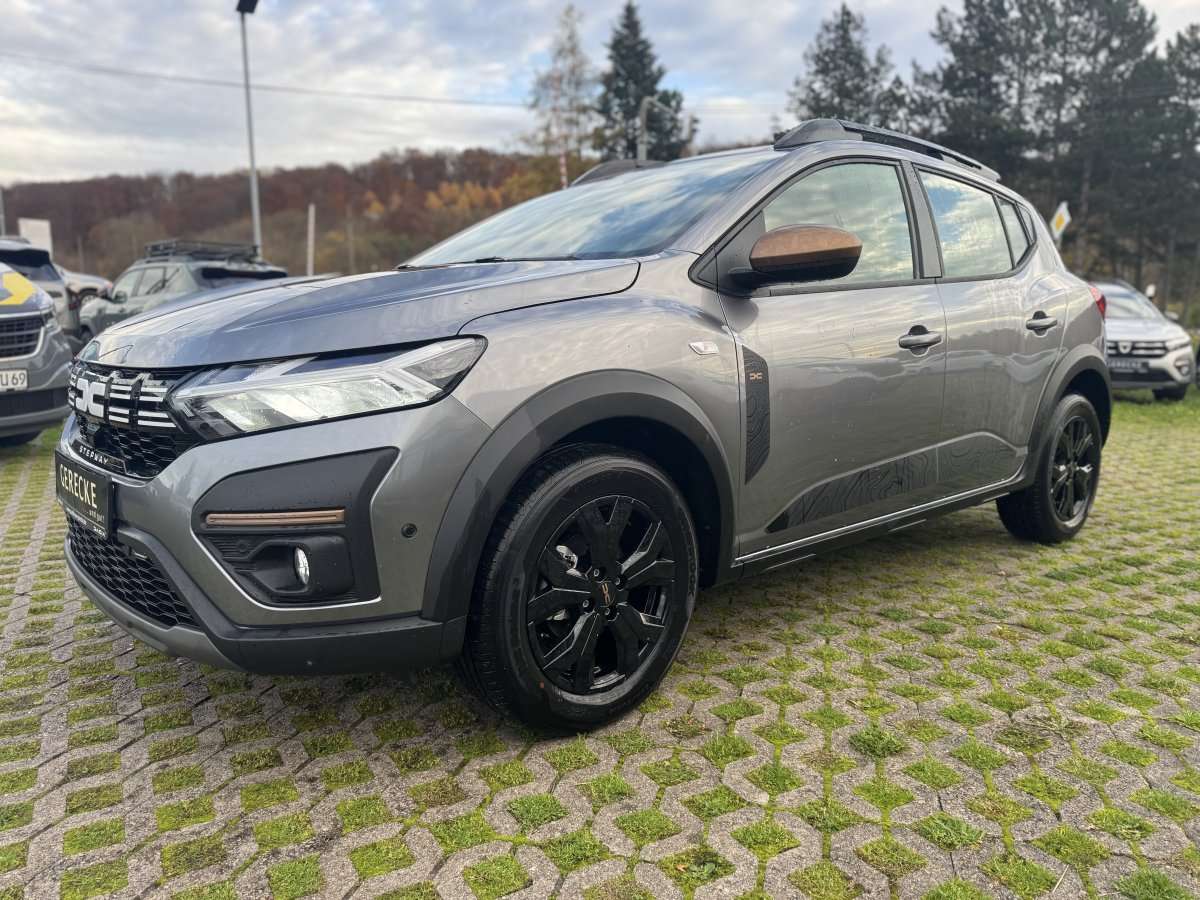 Fahrzeugbild eines Dacia Sandero