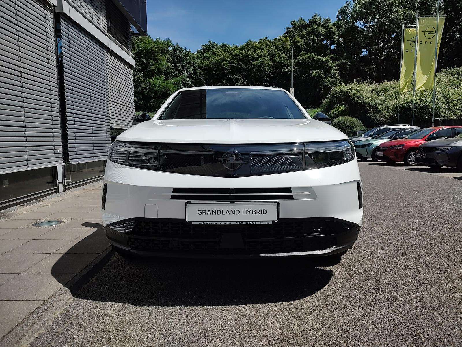 Fahrzeugbild eines Opel Grandland X