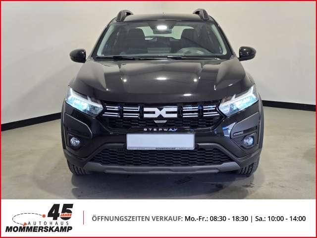 Fahrzeugbild eines Dacia Sandero
