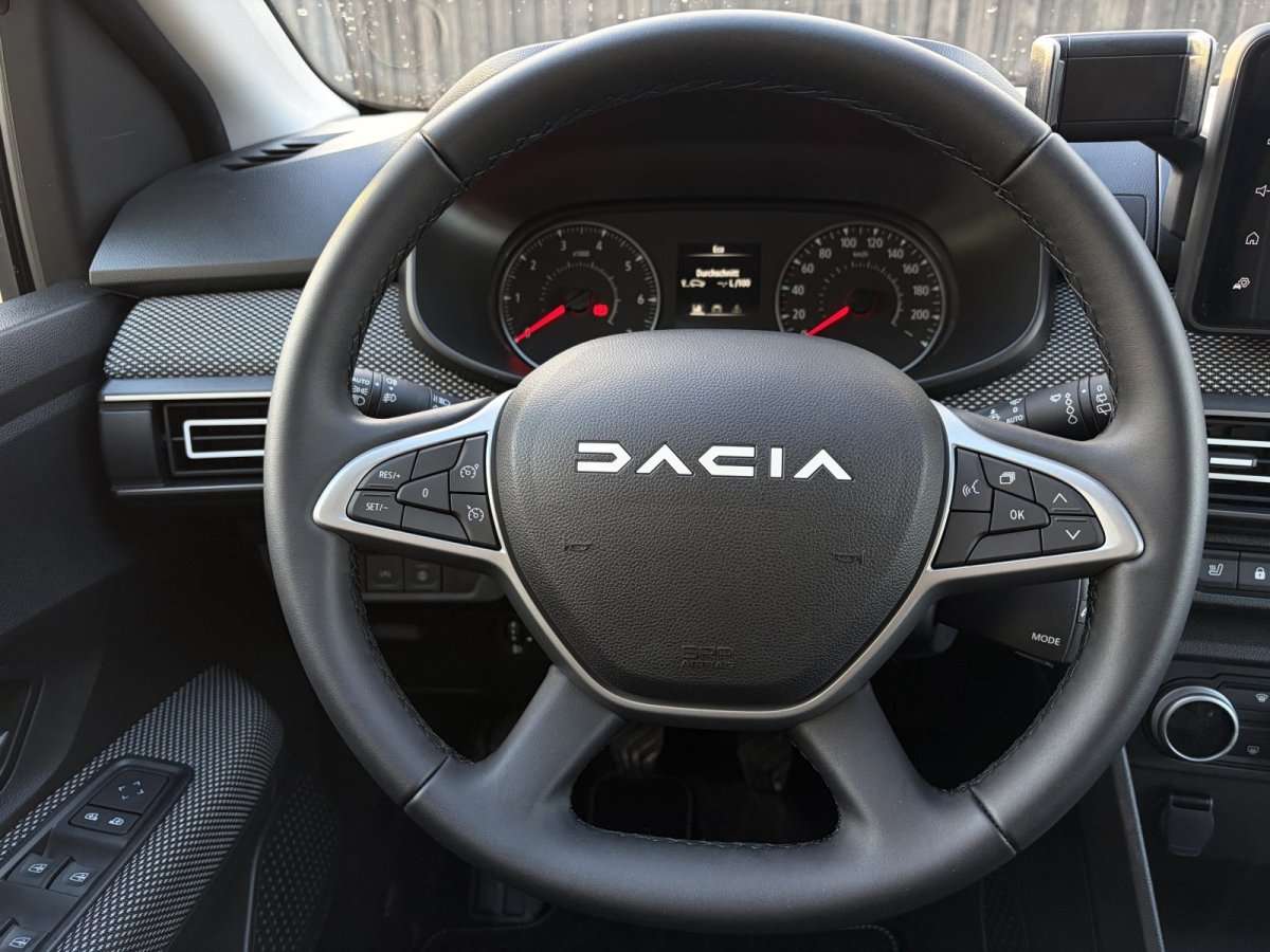 Fahrzeugbild eines Dacia Sandero