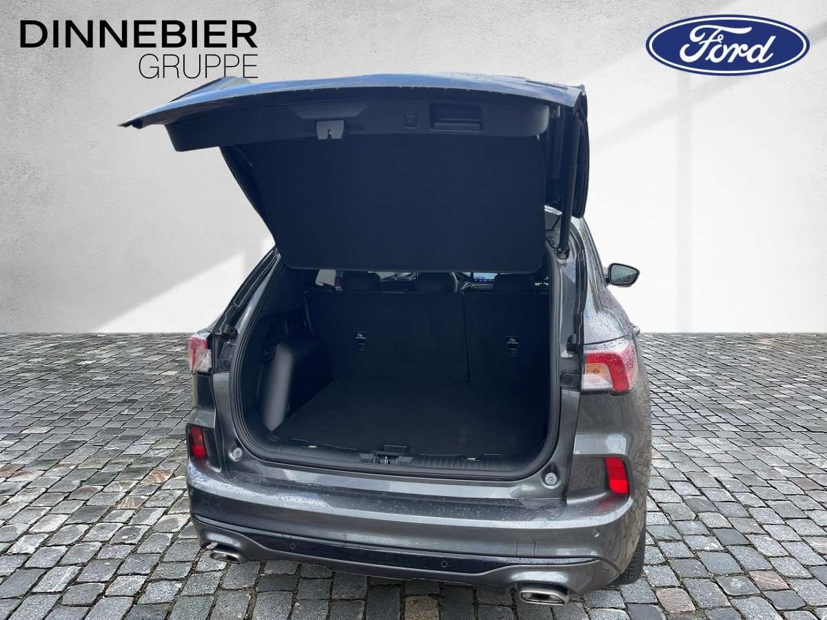 Fahrzeugbild eines Ford Kuga