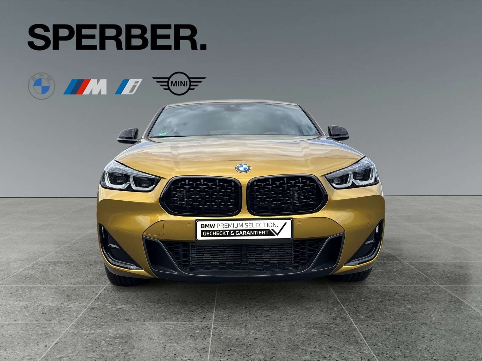 Fahrzeugbild eines BMW X2