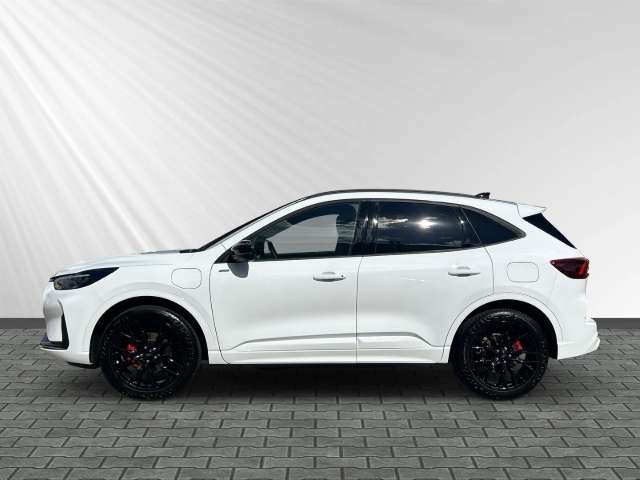 Fahrzeugbild eines Ford Kuga
