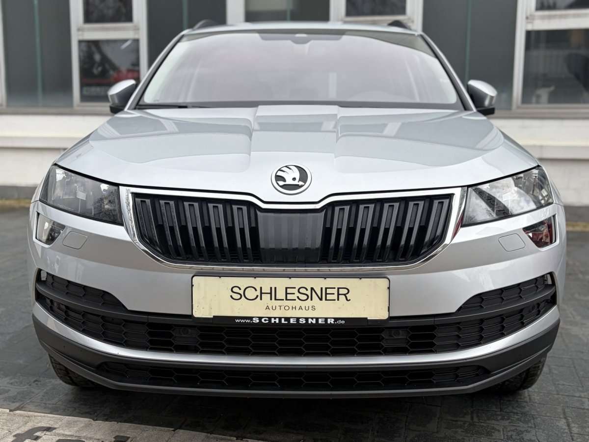 Fahrzeugbild eines Skoda Karoq