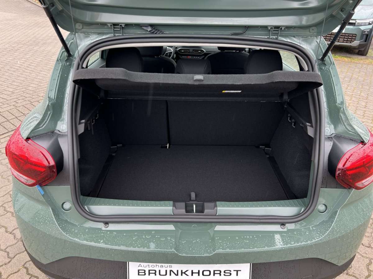 Fahrzeugbild eines Dacia Sandero