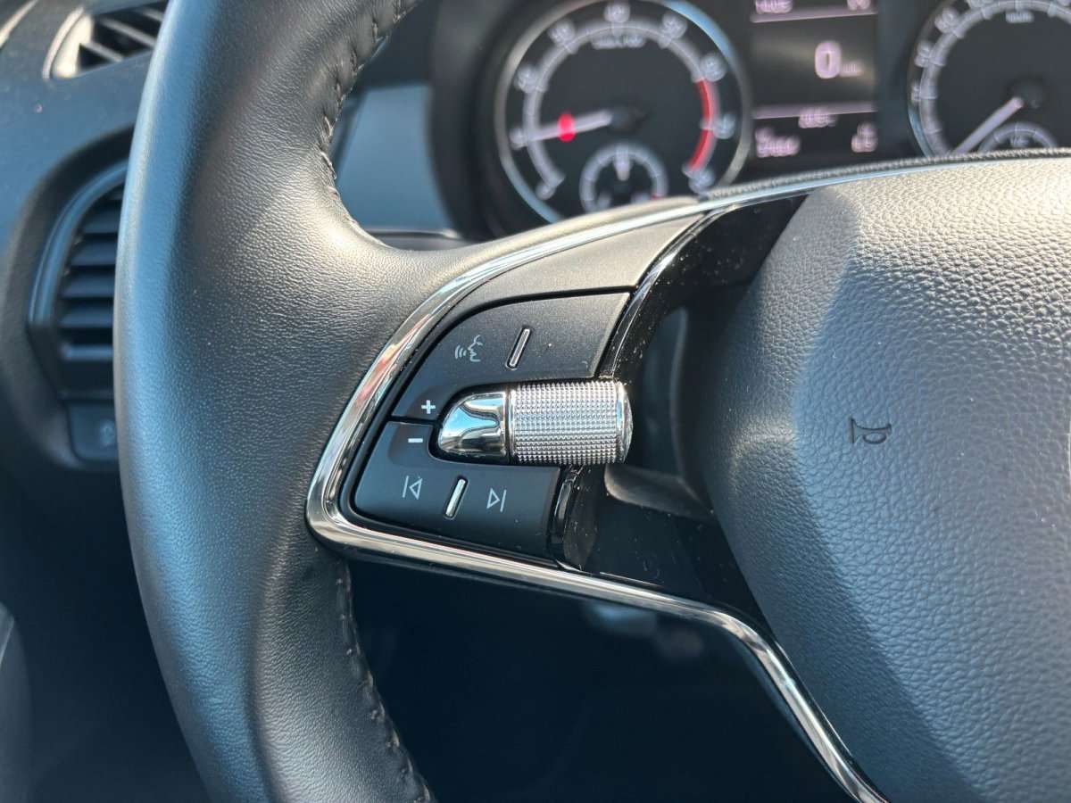 Fahrzeugbild eines Skoda Fabia