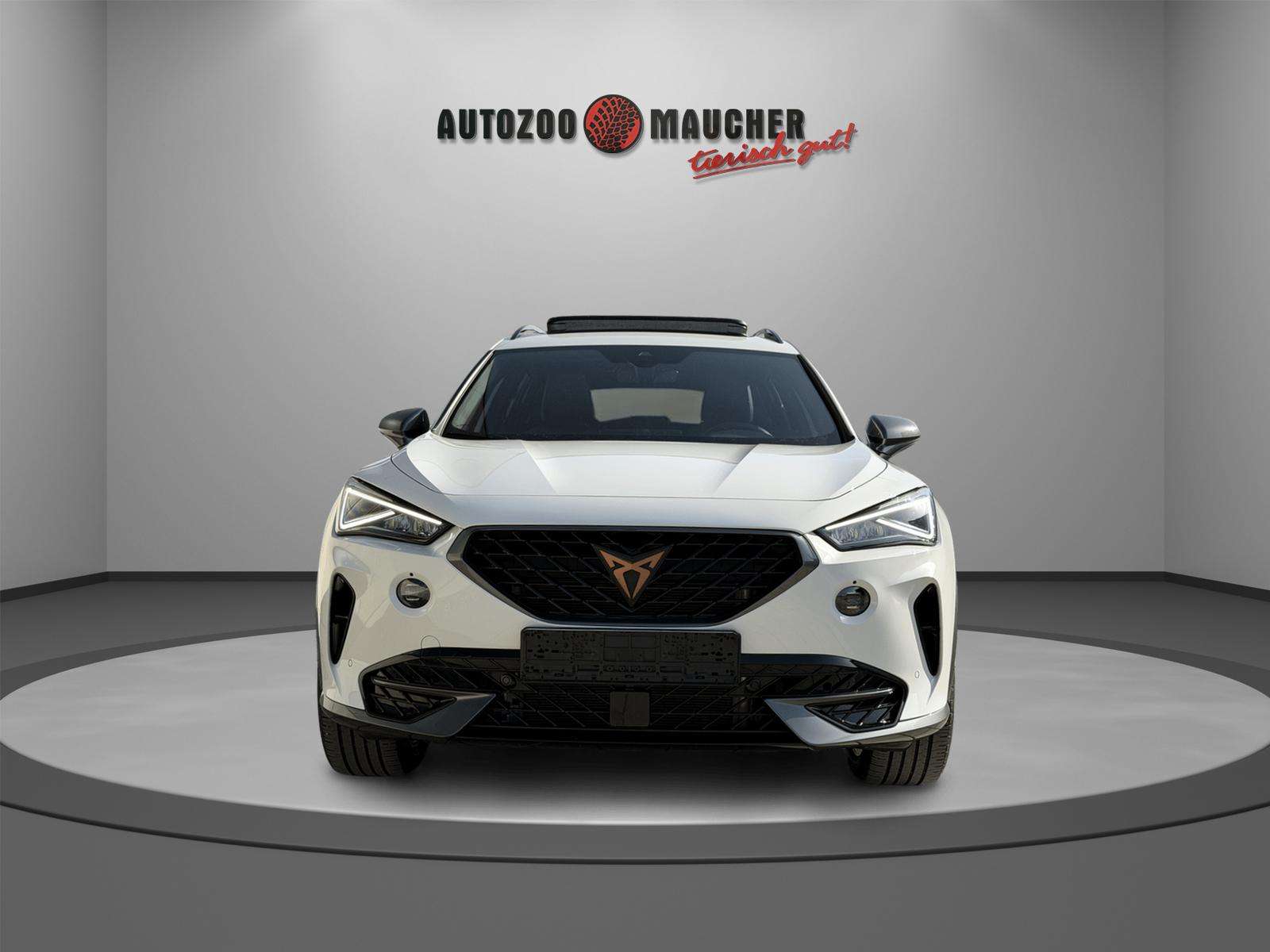 Fahrzeugbild eines CUPRA Formentor