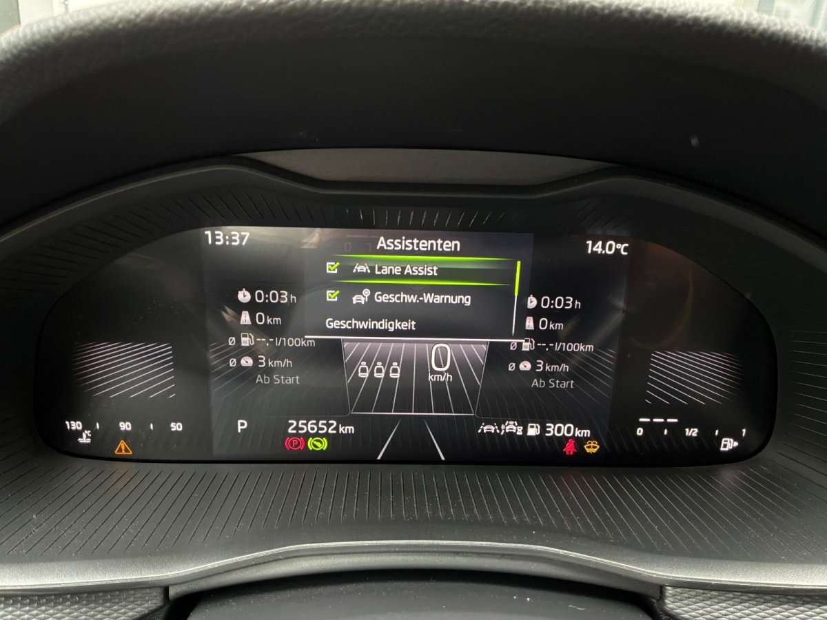 Fahrzeugbild eines Skoda Scala