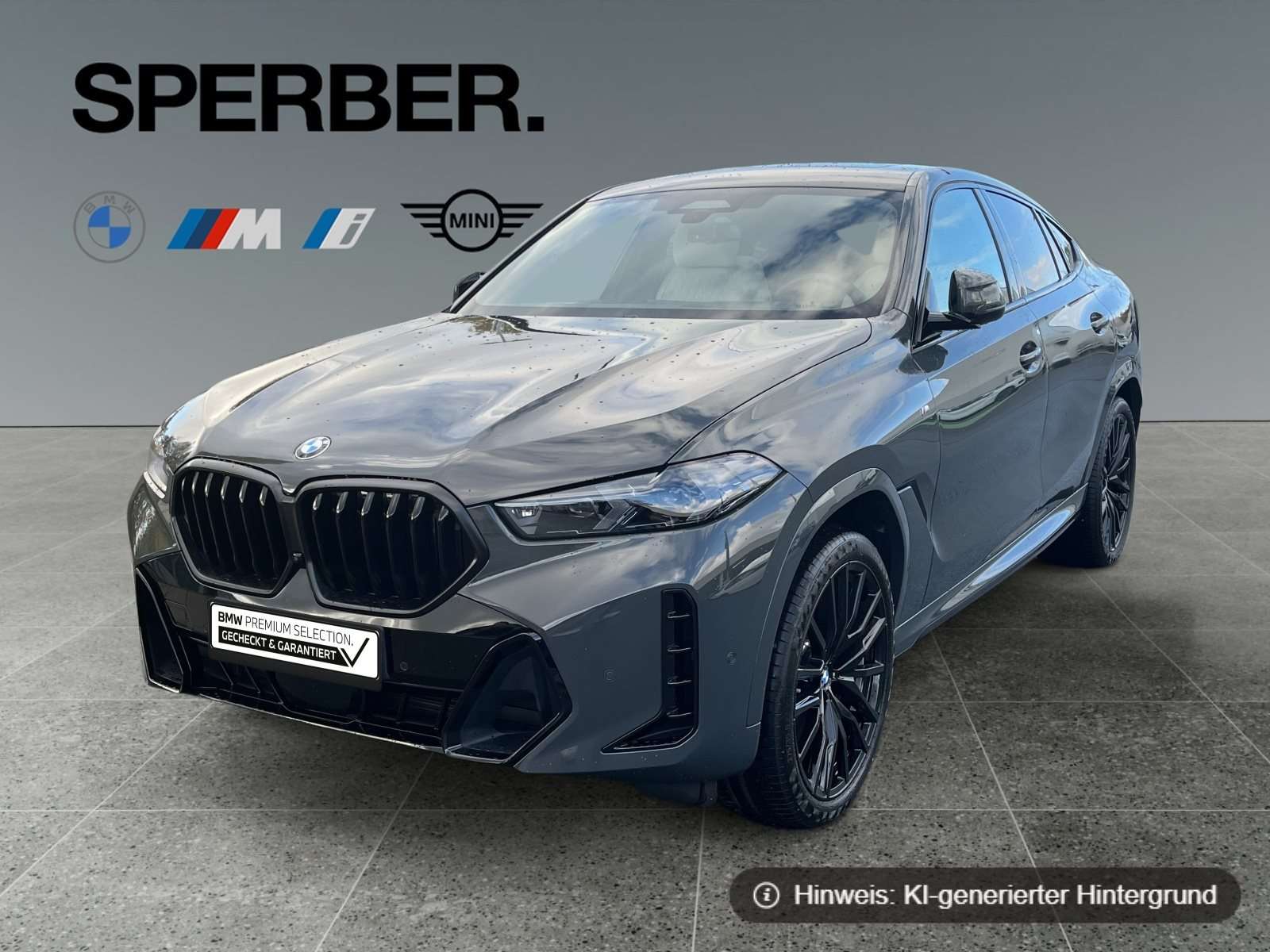Fahrzeugbild eines BMW X6