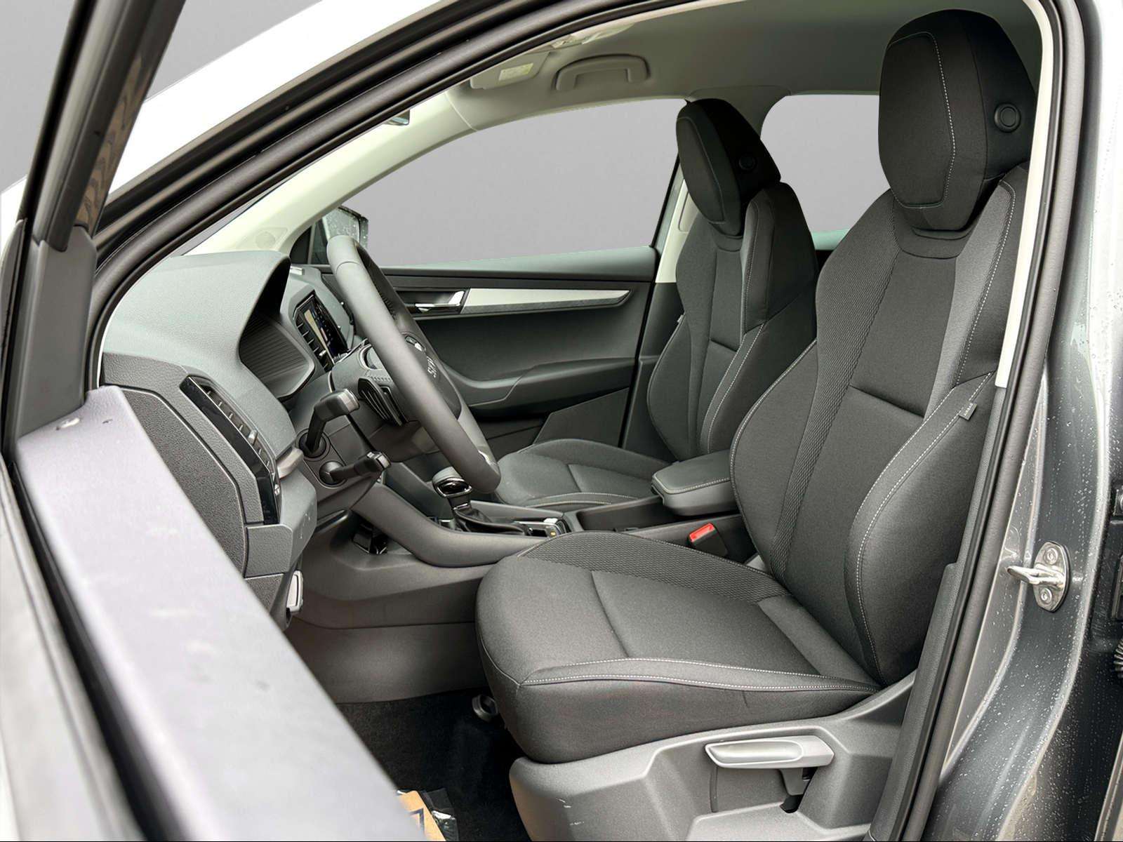 Fahrzeugbild eines Skoda Karoq