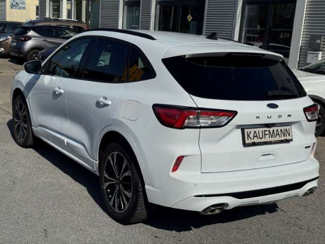 Fahrzeugbild eines Ford Kuga