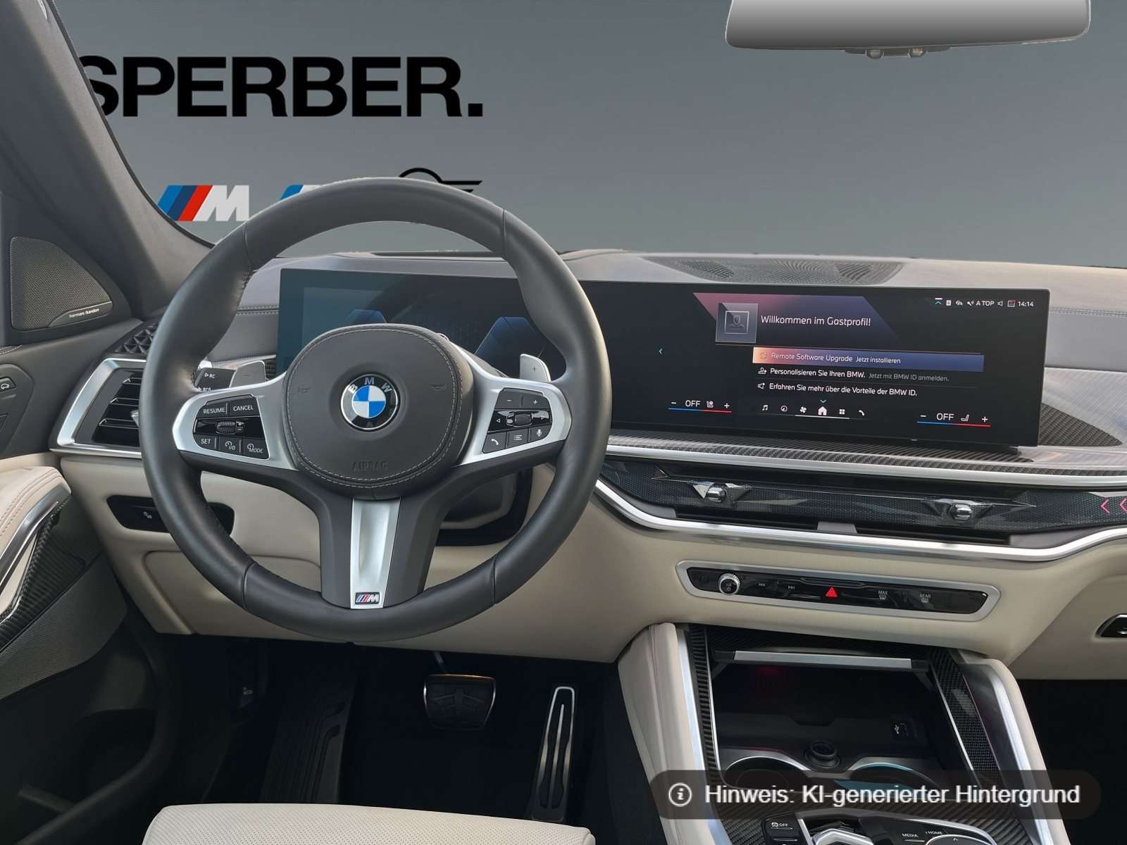 Fahrzeugbild eines BMW X6