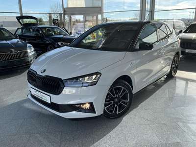 Bild Skoda Fabia