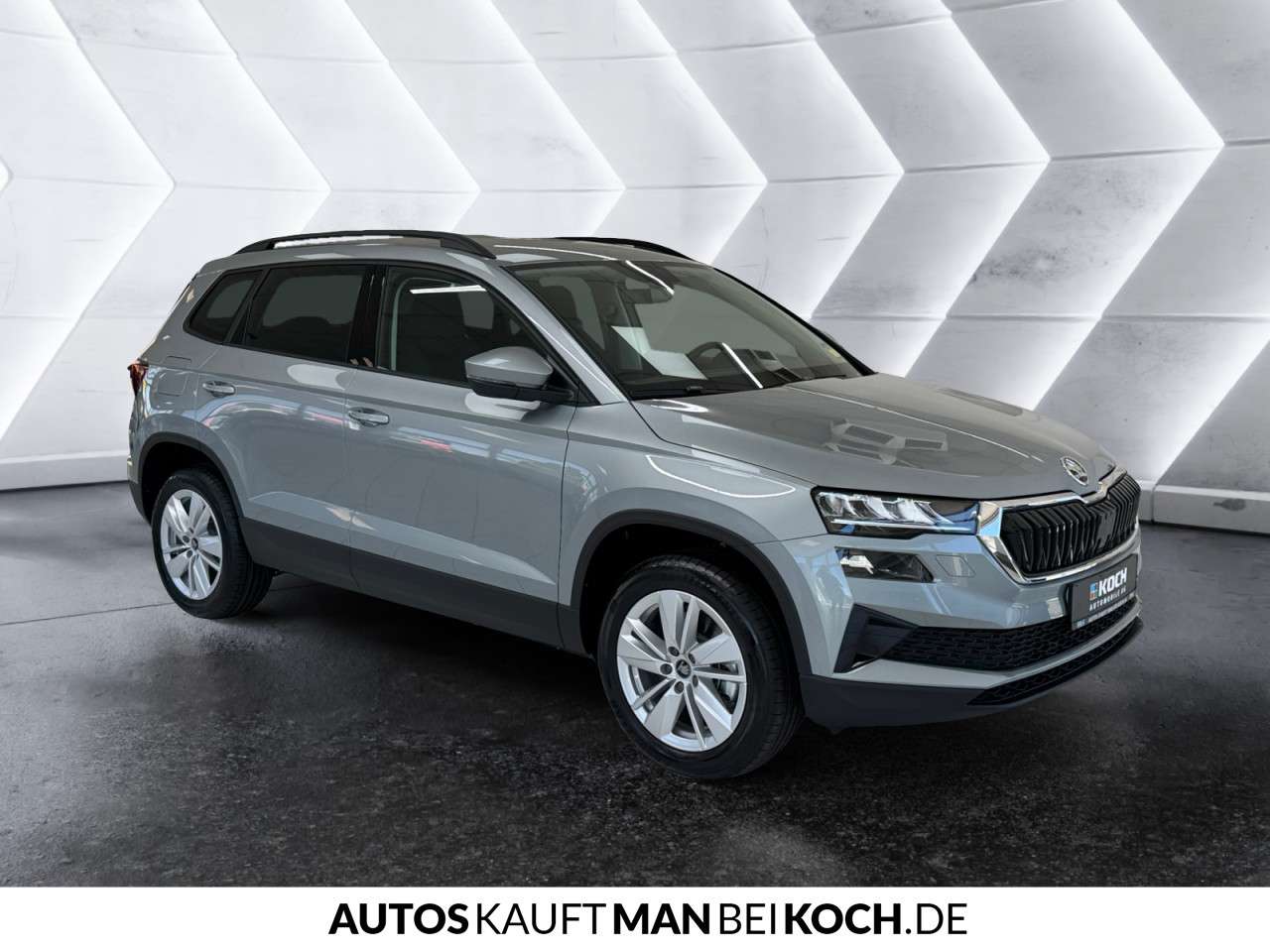Fahrzeugbild eines Skoda Karoq