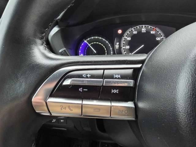 Fahrzeugbild eines Mazda MX-30