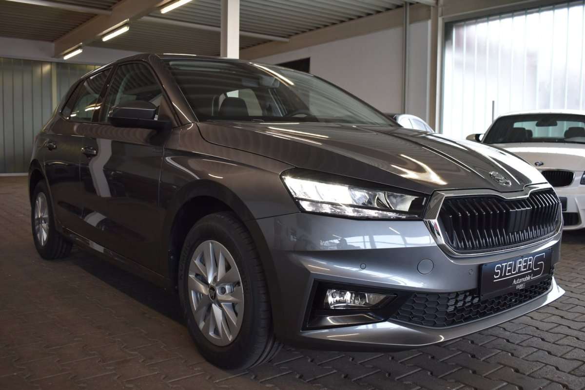 Fahrzeugbild eines Skoda Fabia