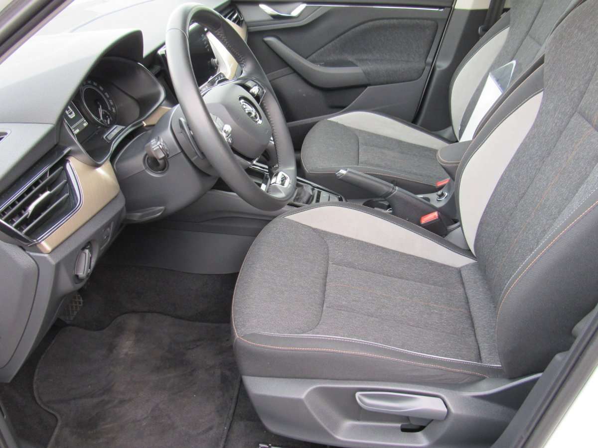 Fahrzeugbild eines Skoda Kamiq