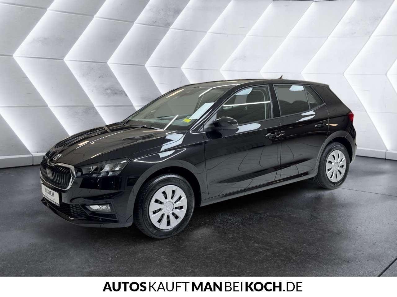 Fahrzeugbild eines Skoda Fabia