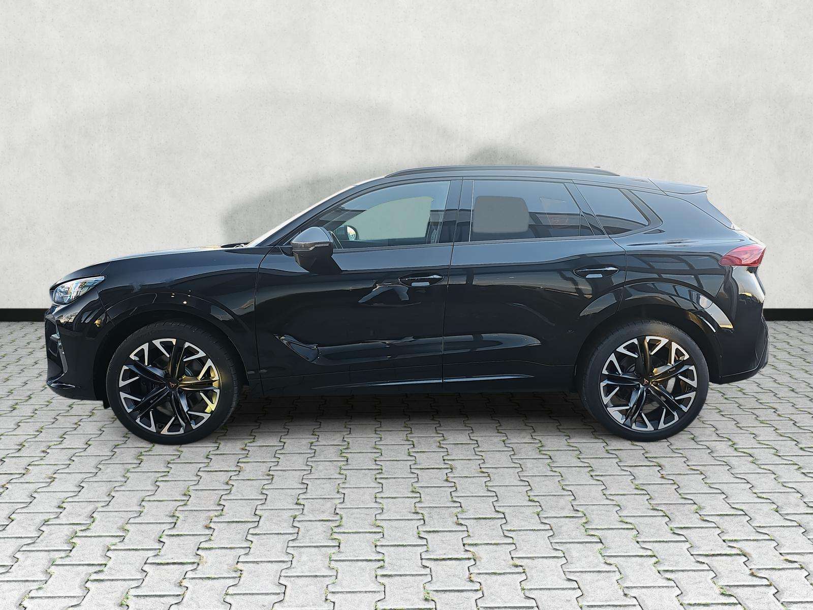 Fahrzeugbild eines CUPRA Terramar