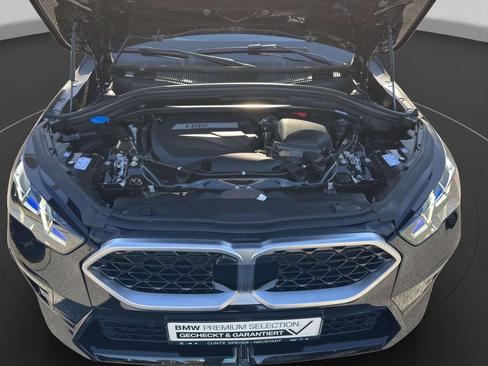 Fahrzeugbild eines BMW X2