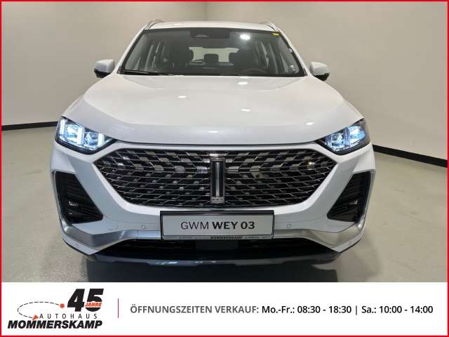 Fahrzeugbild eines GWM Wey 03