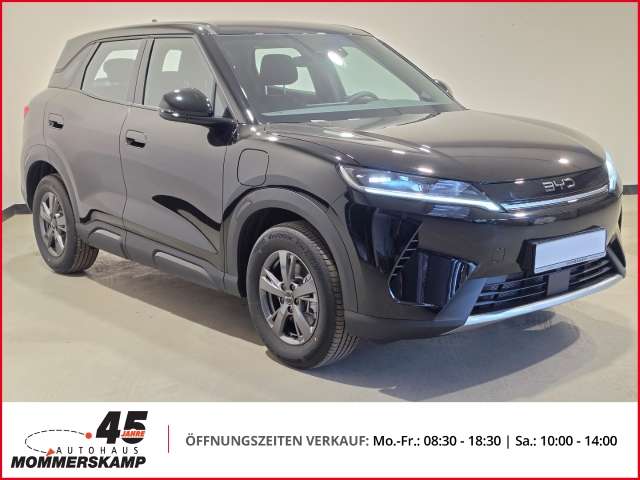Fahrzeugbild eines BYD Atto 2