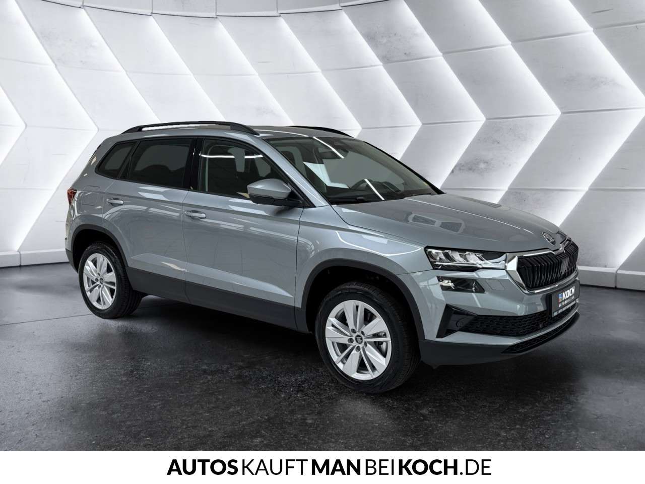 Fahrzeugbild eines Skoda Karoq