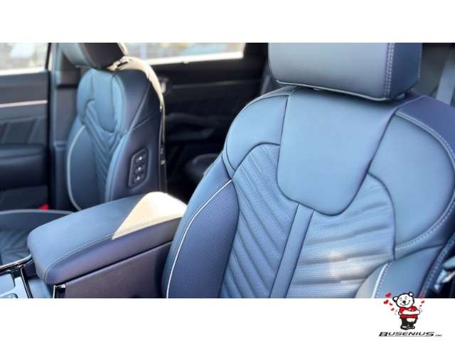 Fahrzeugbild eines Kia Sorento