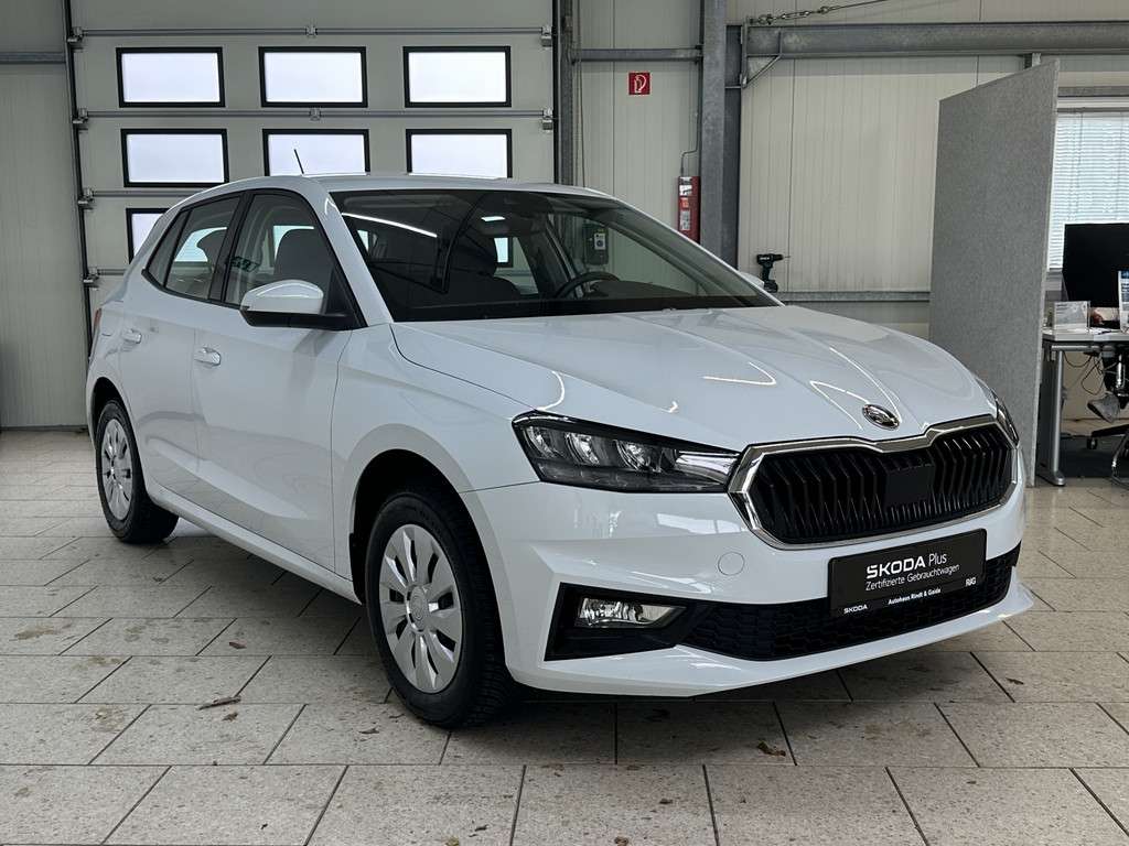 Fahrzeugbild eines Skoda Fabia