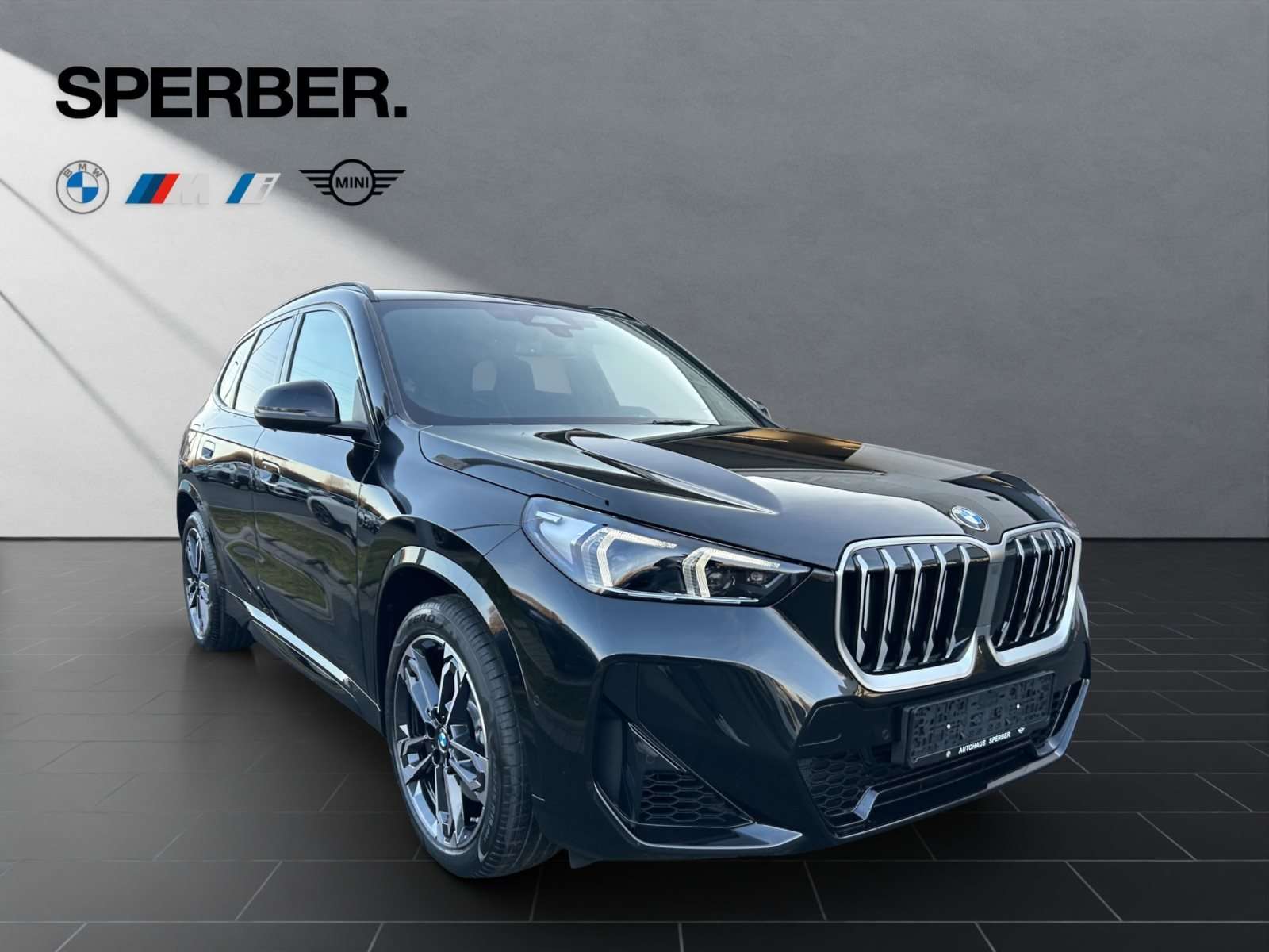 Fahrzeugbild eines BMW X1