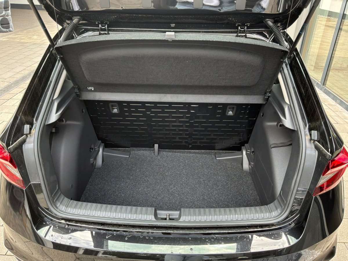 Fahrzeugbild eines Skoda Fabia