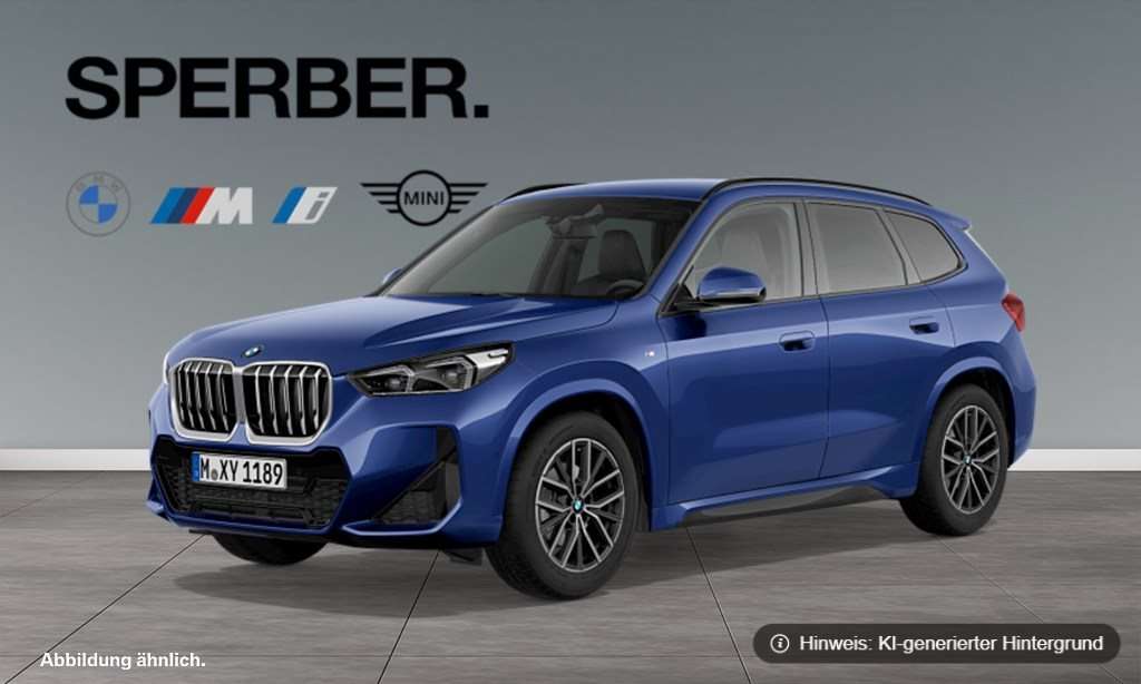 Fahrzeugbild eines BMW X1