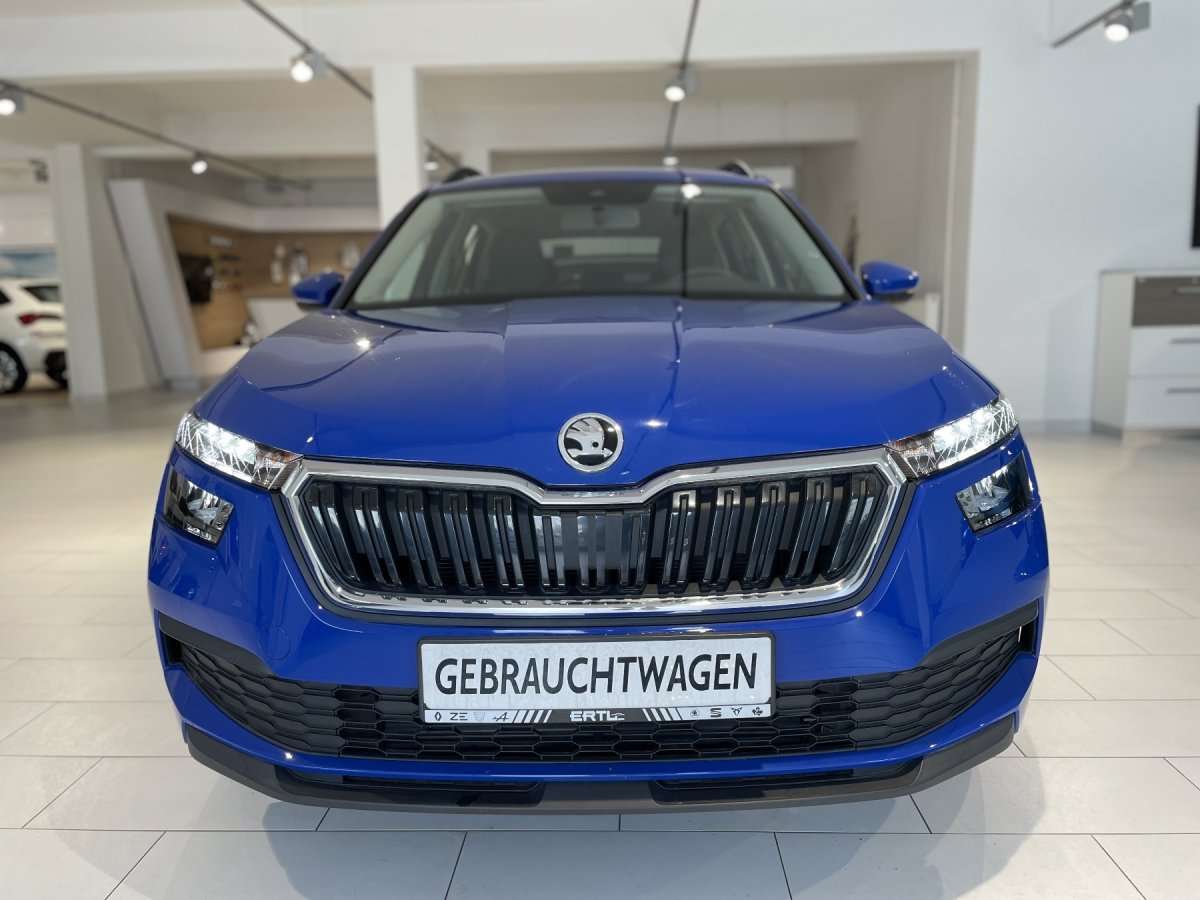 Fahrzeugbild eines Skoda Kamiq