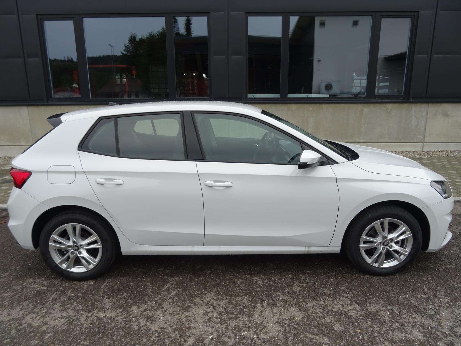 Fahrzeugbild eines Skoda Fabia