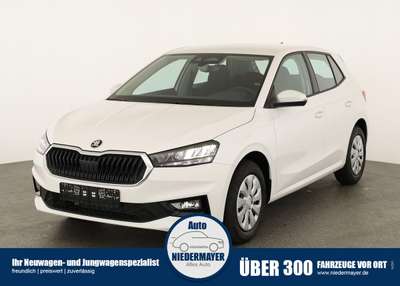 Bild Skoda Fabia