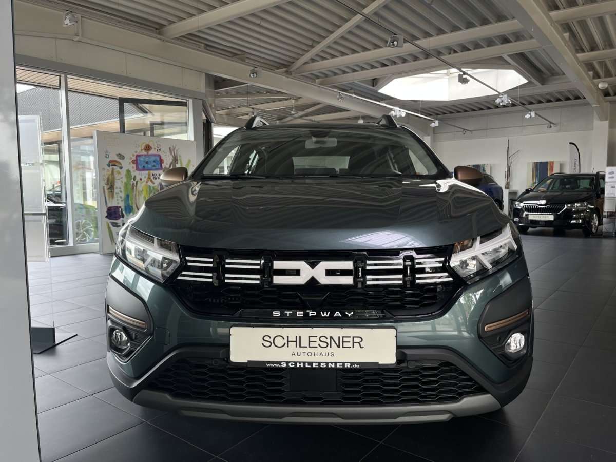 Fahrzeugbild eines Dacia Sandero