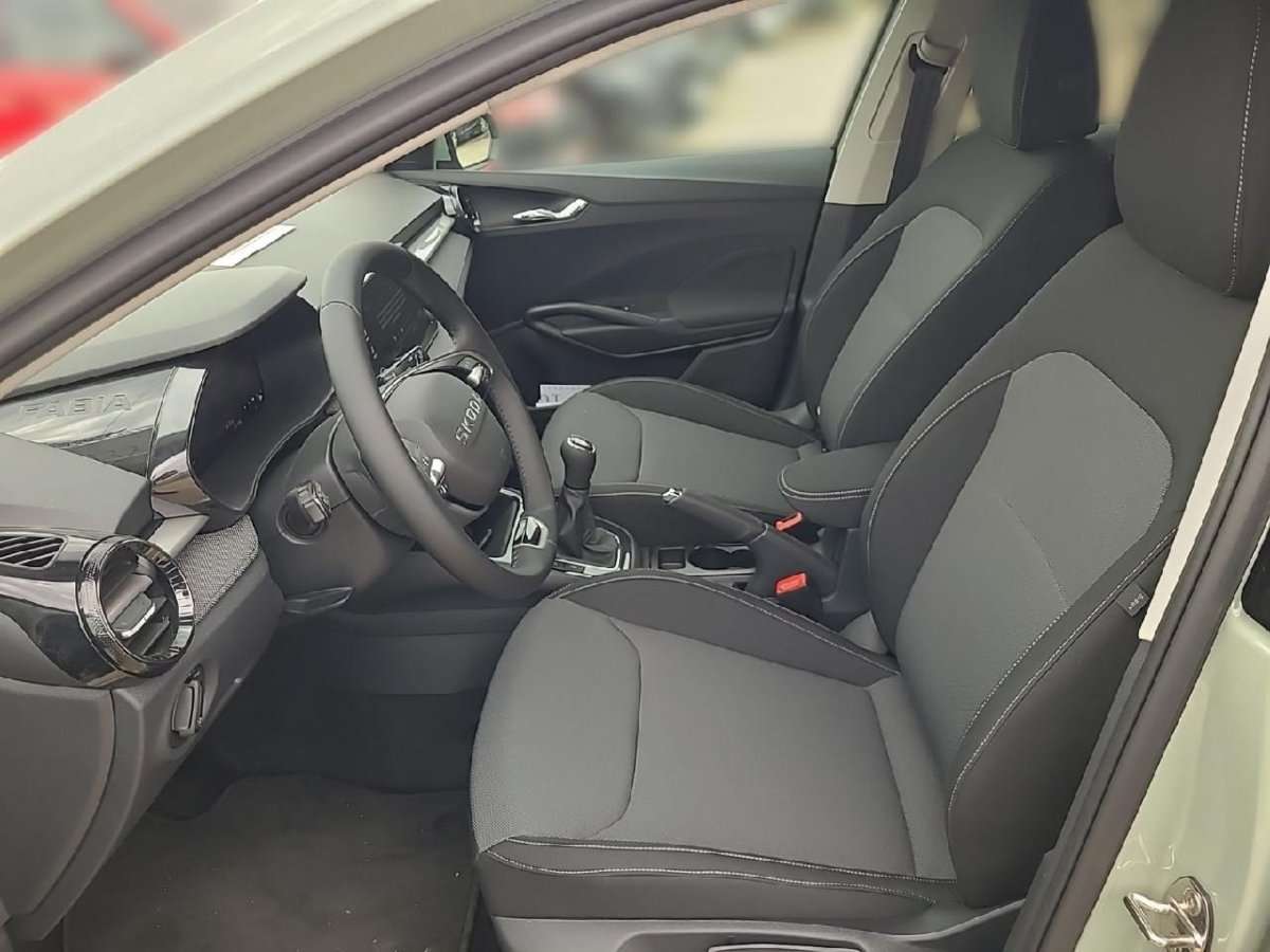 Fahrzeugbild eines Skoda Fabia