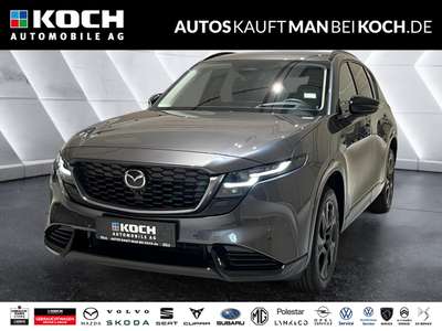 Bild Mazda Mazda2