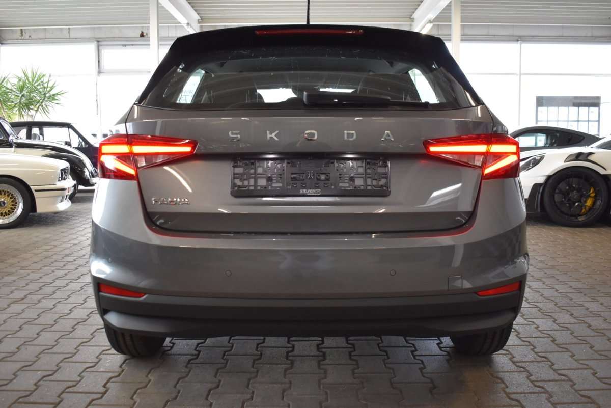 Fahrzeugbild eines Skoda Fabia