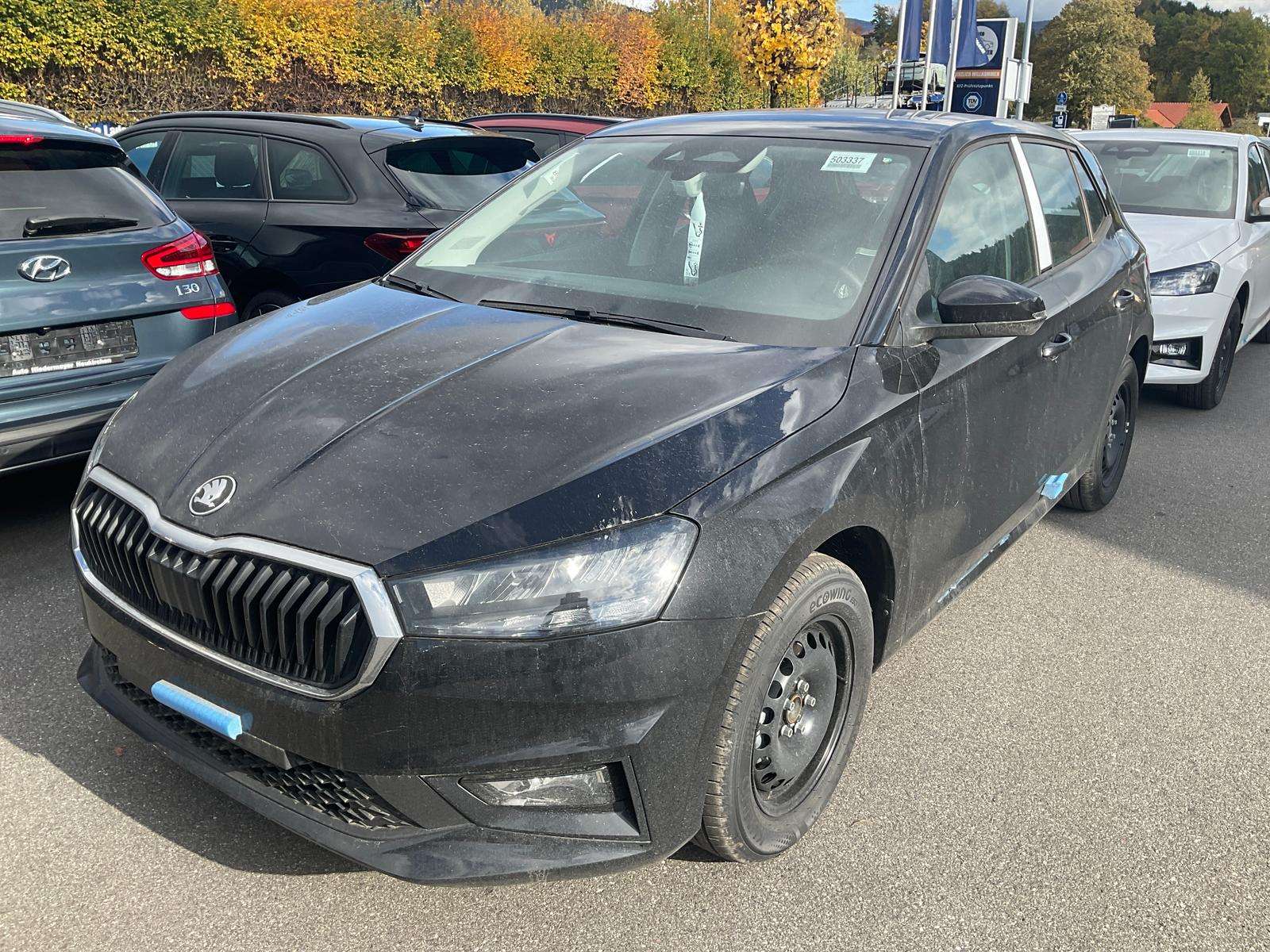 Fahrzeugbild eines Skoda Fabia