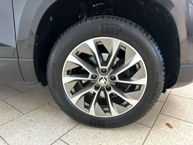 Fahrzeugbild eines Skoda Karoq