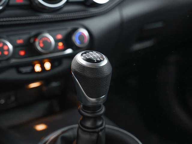 Fahrzeugbild eines Nissan JUKE