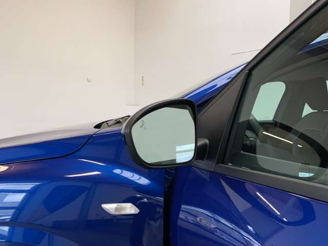 Fahrzeugbild eines Dacia Sandero