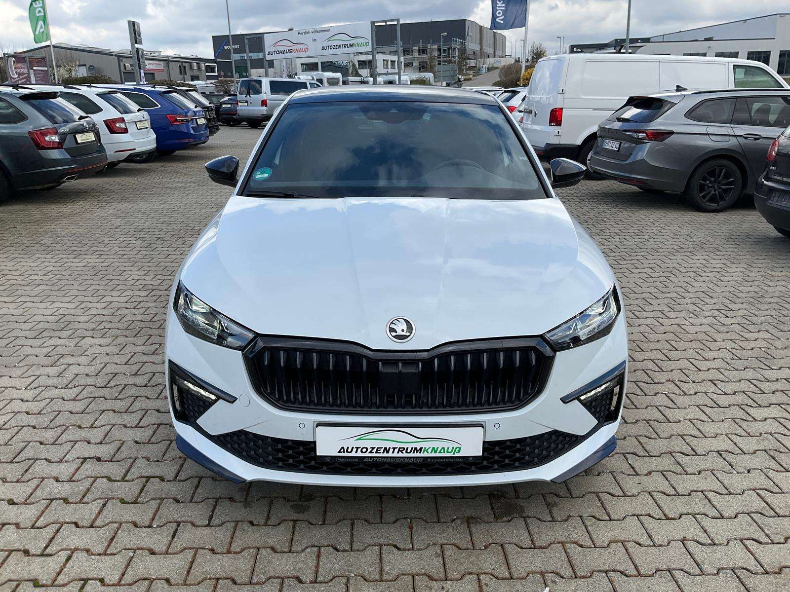 Fahrzeugbild eines Skoda Scala