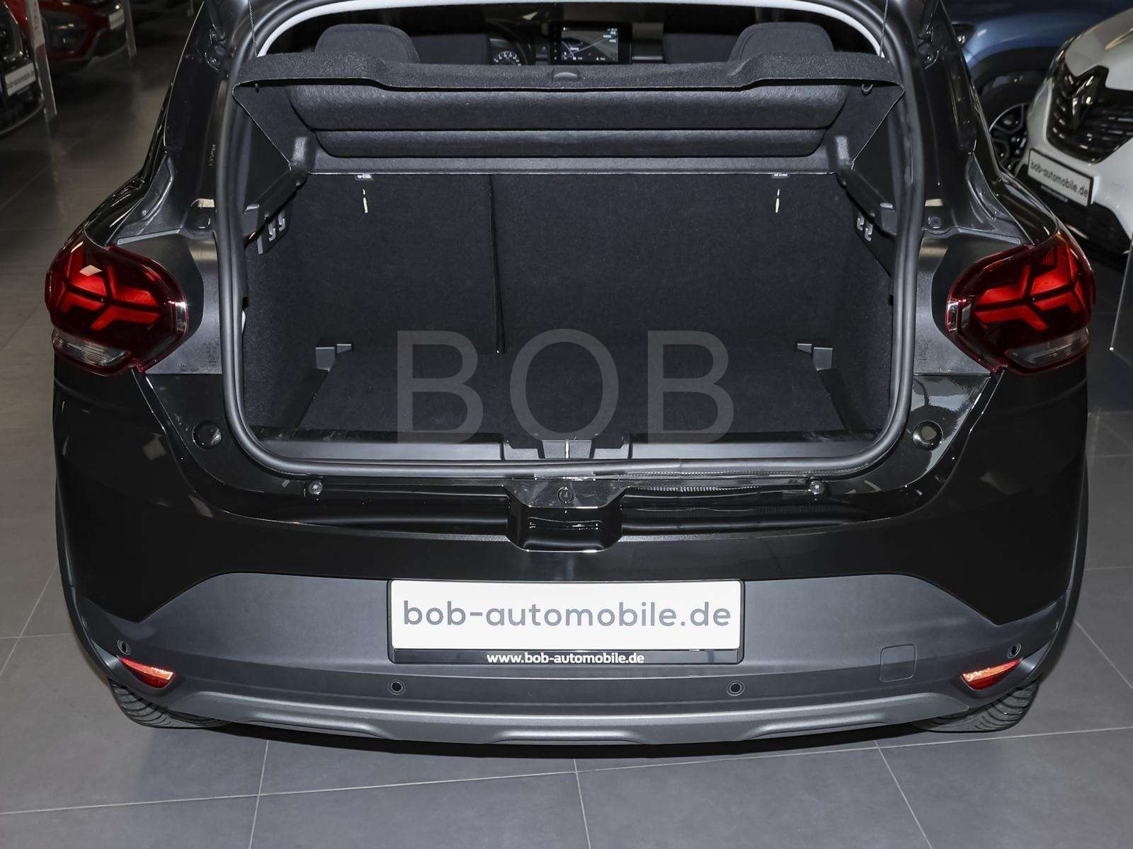 Fahrzeugbild eines Dacia Sandero