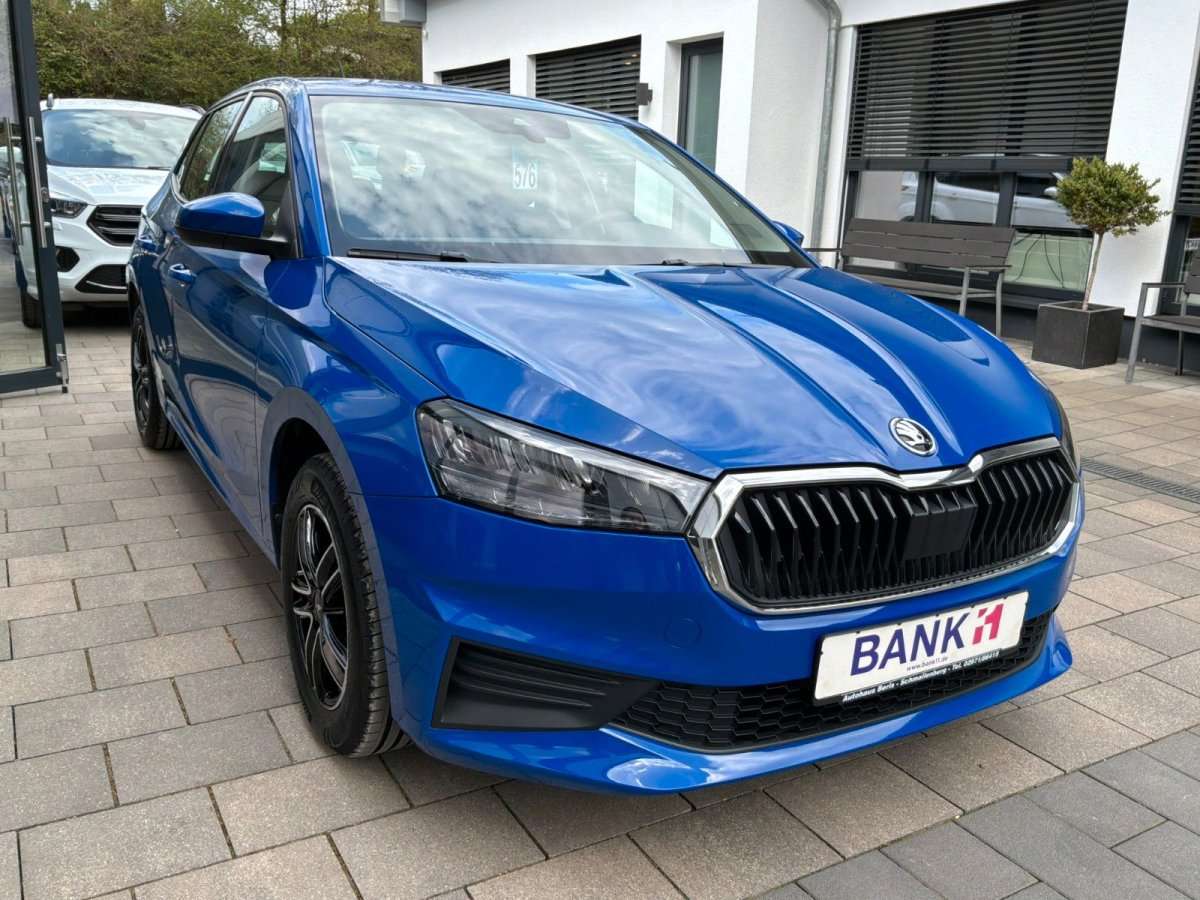 Fahrzeugbild eines Skoda Fabia