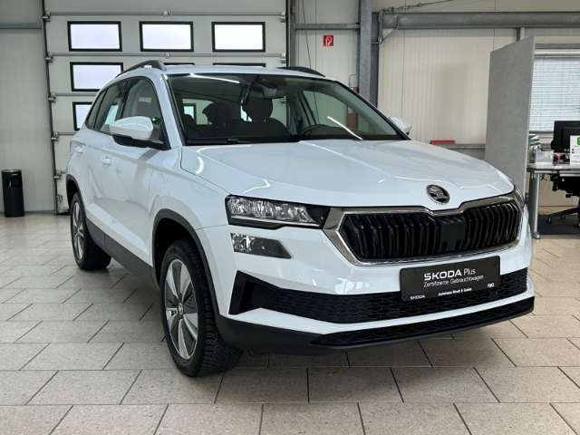Fahrzeugbild eines Skoda Karoq
