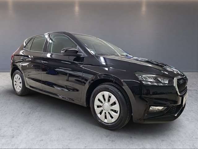 Fahrzeugbild eines Skoda Fabia